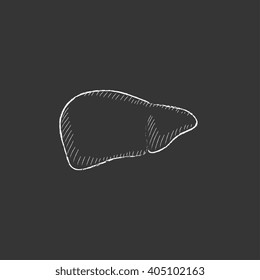 Liver. Drawn in chalk icon.