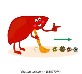 The Liver Expels Toxins From The Body. Cartoon. Vector Illustration.