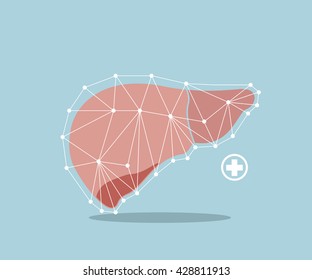 Liver Flat Design Vector Illustration