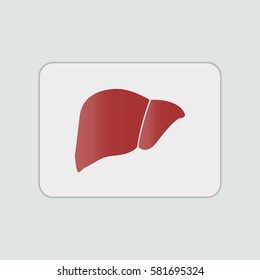 Liver flat icon illustration isolated vector sign symbol