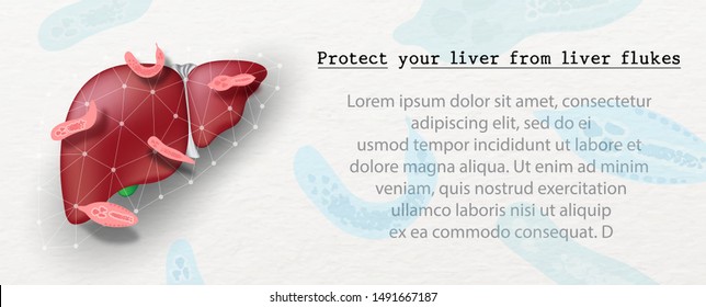 Liver flukes on Human liver protected by net and with the name and example texts on paper pattern and liver flukes background. All in vector and web banner design.