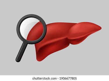 Liver function analysis clipart. Magnifier enhances human red liver tissue examination process and physiological optimization of bodys detoxification work.