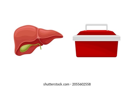 Liver With Gall Bladder Donor Organ And Cooler Box For Transporting Human Organs Cartoon Vector Illustration