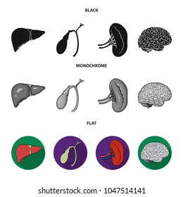 Liver, gallbladder, kidney, brain. Human organs set collection icons in black, flat, monochrome style vector symbol stock illustration web.