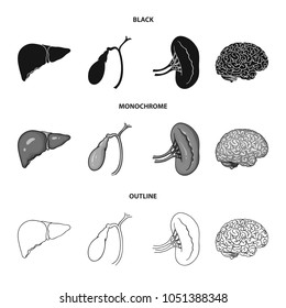 Liver, gallbladder, kidney, brain. Human organs set collection icons in black,monochrome,outline style vector symbol stock illustration web.