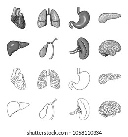 Liver, gallbladder, kidney, brain. Human organs set collection icons in outline,monochrome style vector symbol stock illustration web.