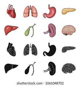 Liver, gallbladder, kidney, brain. Human organs set collection icons in black,cartoon style vector symbol stock illustration web.