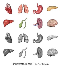 Liver, gallbladder, kidney, brain. Human organs set collection icons in cartoon,monochrome style vector symbol stock illustration web.
