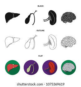 Liver, gallbladder, kidney, brain. Human organs set collection icons in black,flat,outline style vector symbol stock illustration web.