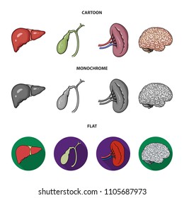 Liver, gallbladder, kidney, brain. Human organs set collection icons in cartoon,flat,monochrome style vector symbol stock illustration web.