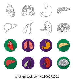 Liver, gallbladder, kidney, brain. Human organs set collection icons in outline,flat style vector symbol stock illustration web.
