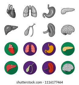 Liver, gallbladder, kidney, brain. Human organs set collection icons in monochrome,flat style vector symbol stock illustration web.