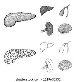 Liver, gallbladder, kidney, brain. Human organs set collection icons in outline,monochrome style vector symbol stock illustration web.