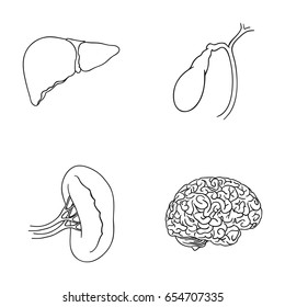 Liver, gallbladder, kidney, brain. Human organs set collection icons in outline style vector symbol stock illustration web.