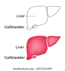 Liver Gallbladder Science Design Vector Illustration Diagram