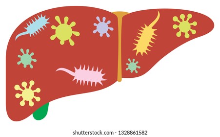 liver with germs and bacteria vector illustration