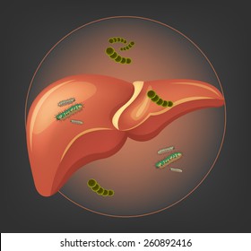 Liver with germs and bacteria. Vector illustration