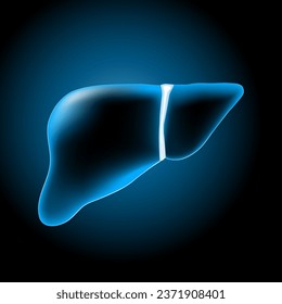 Liver with glowing effect. Realistic transparent blue Liver on dark background. Hepatic Function. Human hepatobiliary System. Image for healthcare design. Vector illustration