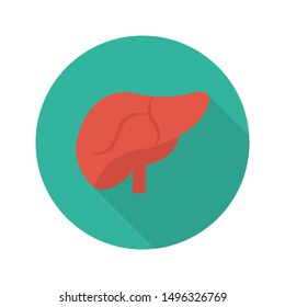 liver glyph flat vector icon