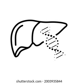 Liver Health Illustration Human Care eps
