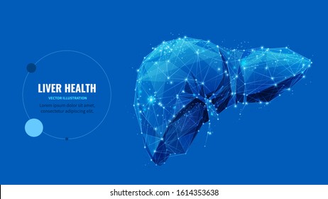 Liver health low poly wireframe banner vector template. Cirrhosis and hepatitis medical treatment, transplantation service poster polygonal design. Human organ 3d mesh art with connected dots