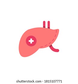 liver, health and medicine icon