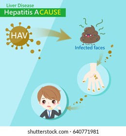 liver and hepatitis a cause with healthy concept