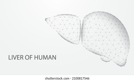 Liver of human anatomy structure line connection. Low poly wireframe design. Abstract geometric background. vector illustration.