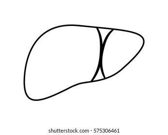 liver human body, icon, vector illustration eps10