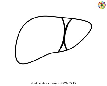liver human body, icon, vector illustration eps10