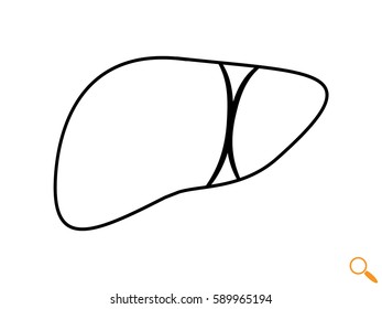 liver human body, icon, vector illustration eps10