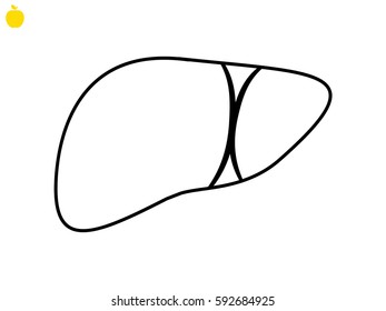 liver human body, icon, vector illustration eps10