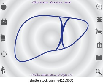 liver human body, icon, vector illustration eps10