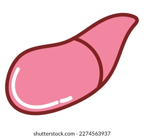 liver human body isolated icon