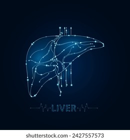 Liver human in electronic form glowing between information connecting lines. Medical science of technology digital hi tech. Futuristic digital circuit board innovative health care. Vector EPS10.