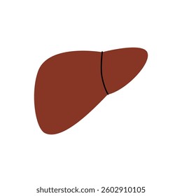 Liver. Human internal organ. Vector illustration.