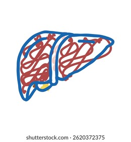 fígado órgão humano doodle ícone esboço vetor. fígado sinal de órgão humano. símbolo isolado ilustração