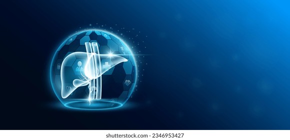 Liver human organ inside transparent dome shield protection futuristic with medical icon. Technology innovation health care. Empty space for text. Medical science ads website banner. Vector.