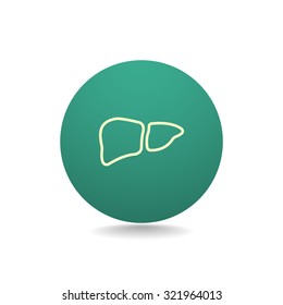  liver icon