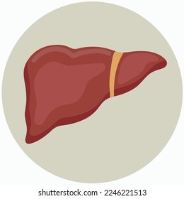 Liver icon clipart isolated vector illustration