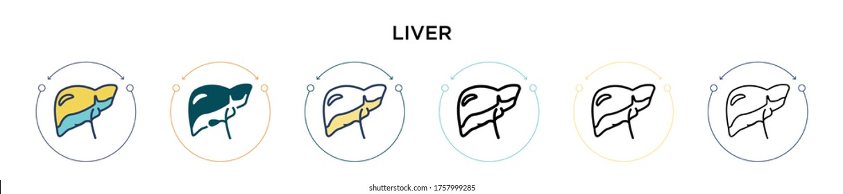 Liver icon in filled, thin line, outline and stroke style. Vector illustration of two colored and black liver vector icons designs can be used for mobile, ui, web