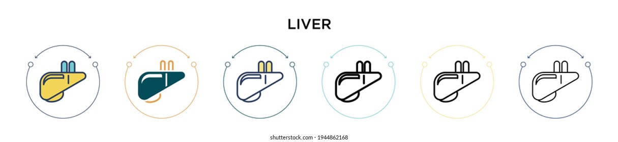 Liver icon in filled, thin line, outline and stroke style. Vector illustration of two colored and black liver vector icons designs can be used for mobile, ui, web