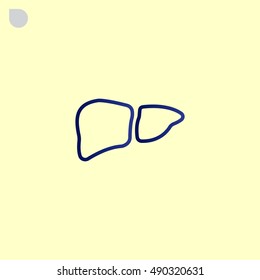  Liver icon flat.