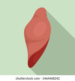 Liver icon. Flat illustration of liver vector icon for web design