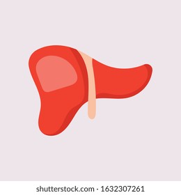 Liver Icon Flat logo Style Organs Of The Human template Design