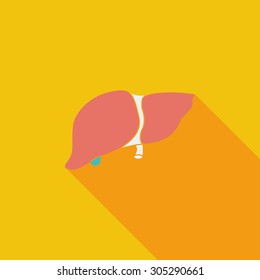Liver icon. Flat vector related icon with long shadow for web and mobile applications. It can be used as - logo, pictogram, icon, infographic element. Vector Illustration.