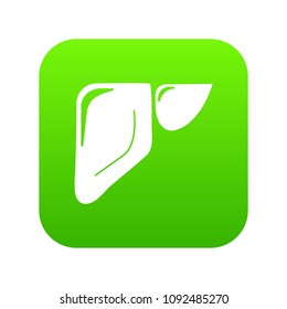 Liver icon green vector isolated on white background