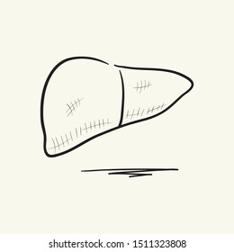 Liver icon. Hand drawn vector illustration
