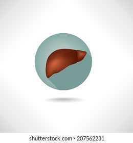 Liver icon. Human anatomy web buttons set.