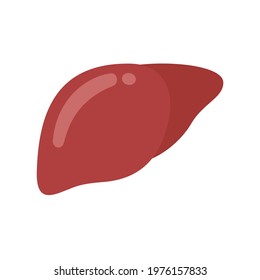 Liver icon. The liver is the human internal organ that helps filter toxins and waste from the body.
